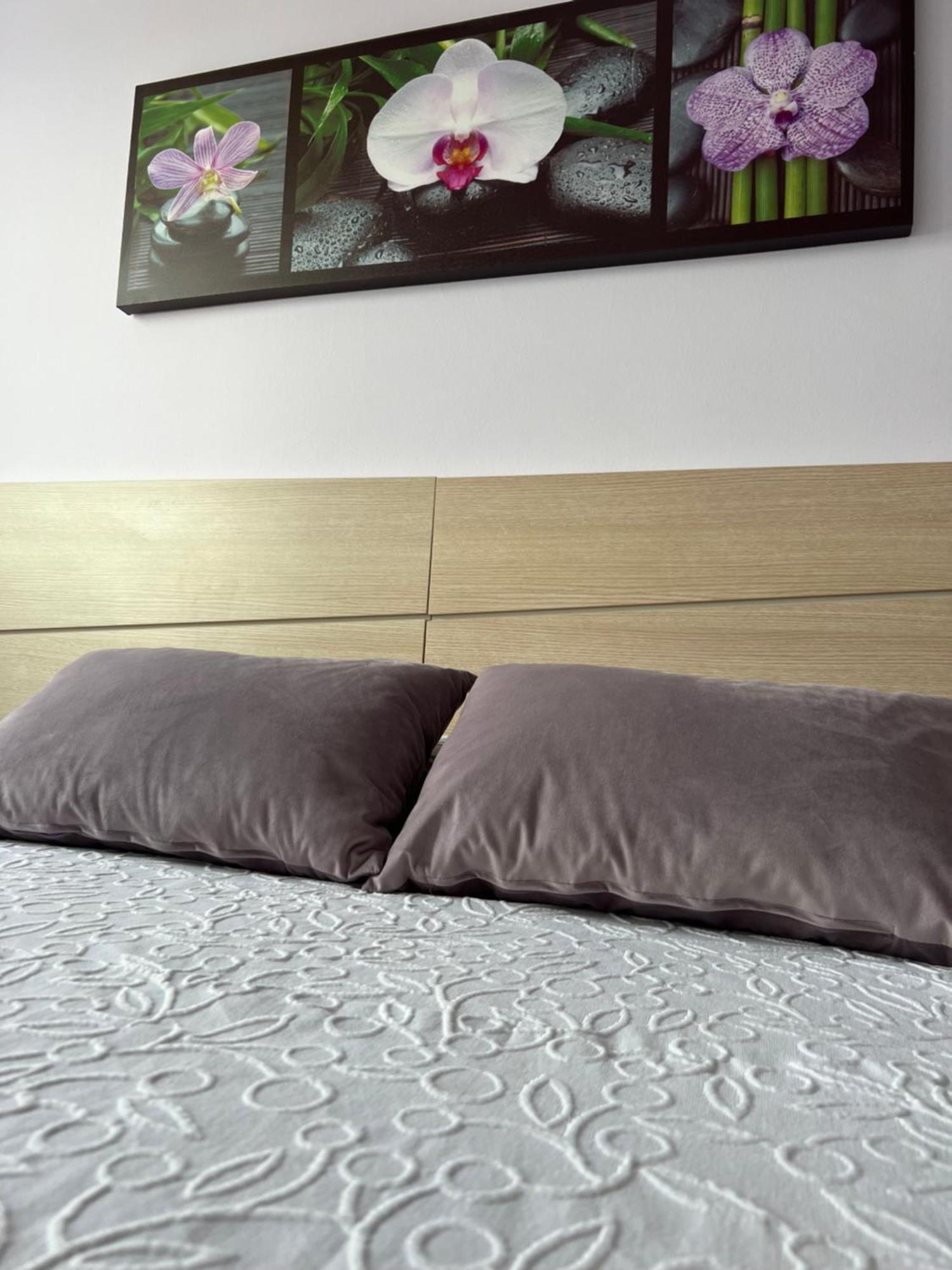 Marusia Apartamento Мальпика Экстерьер фото